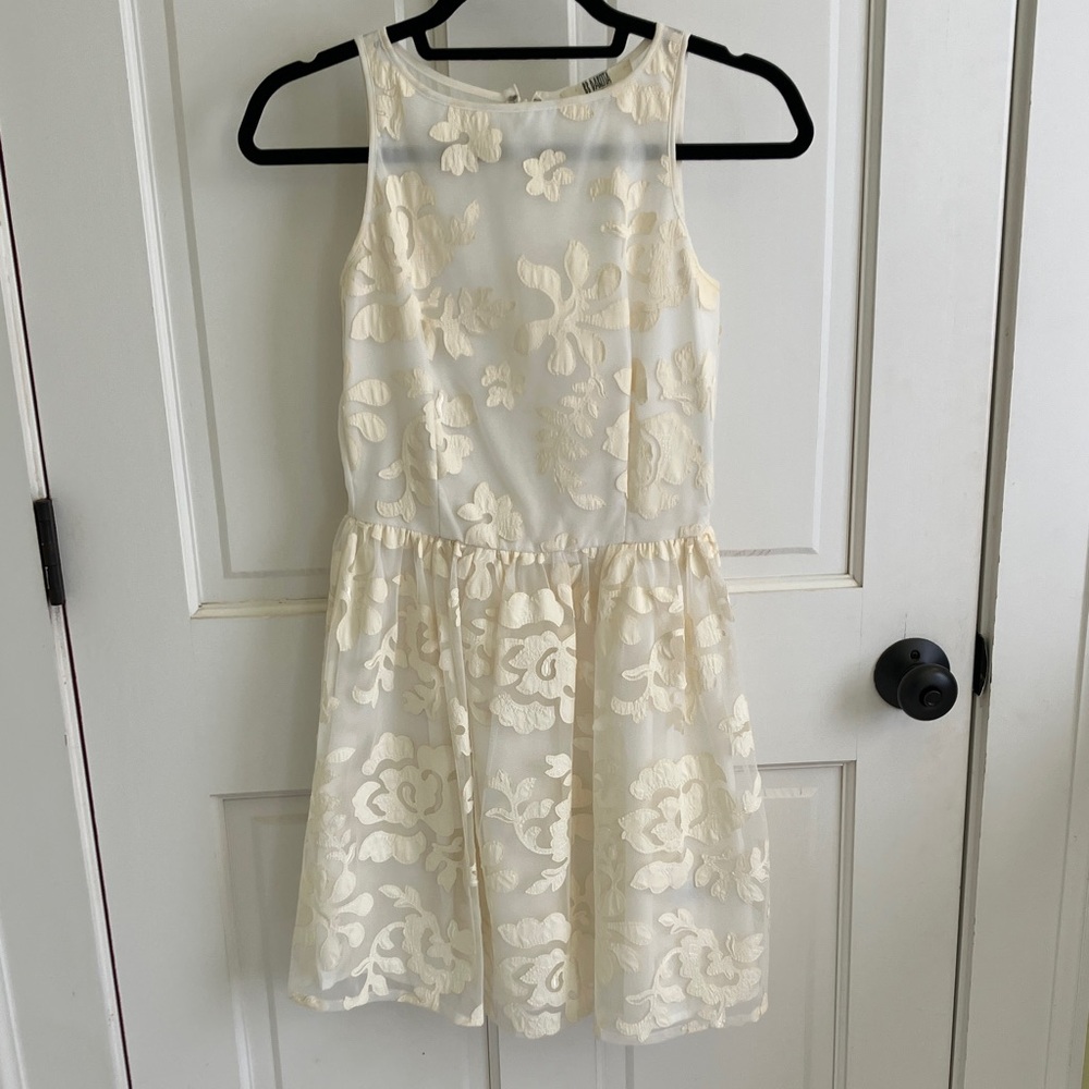 BB Dakota Dress